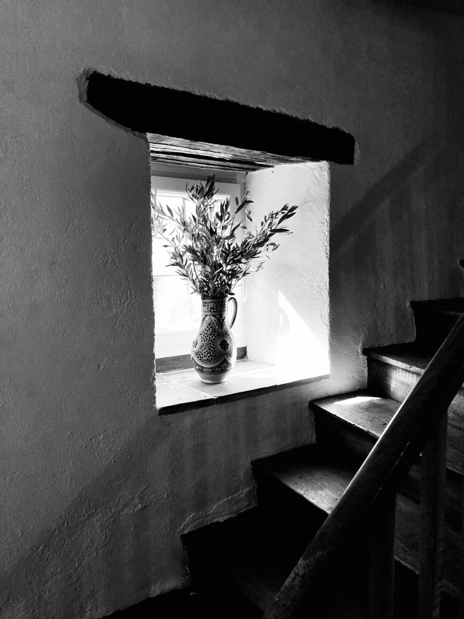 Maison De L'Aurausse Les Cabannes  Esterno foto